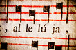 Foto: Hallelujah Hallelujah
