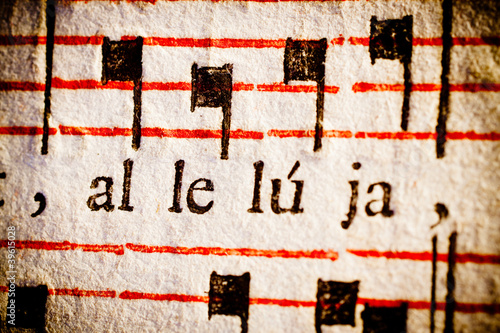 Photo: Hallelujah Hallelujah