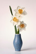 three daffodils in blue vase on white background