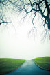 Photo: Empty Cold Path to Unknown Empty Cold Path to Unknown