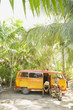 People sitting with van in tropical setting
