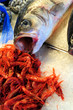Foto: Venedig Fischmarkt Venedig Fischmarkt
