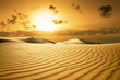 Gold desert. Sunset beach. Gold desert. Sunset beach.