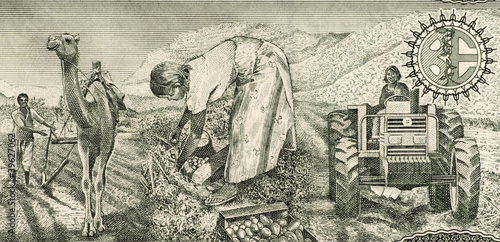 Photo: Eritrean Farmers Eritrean Farmers