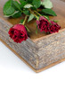 Red roses in a closed book