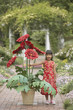 Asian girl in garden with giant potted plant