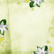 beautiful spring background