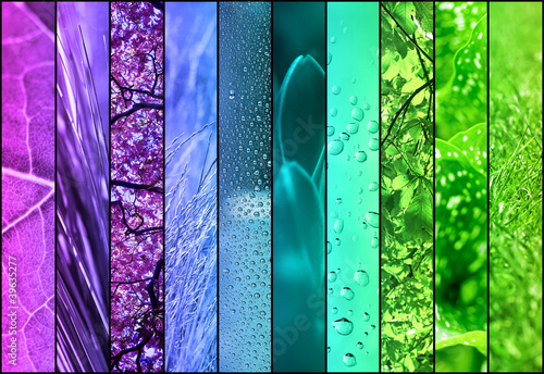 Foto: nature color collage nature color collage