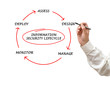 Diagram of information security lifecycle