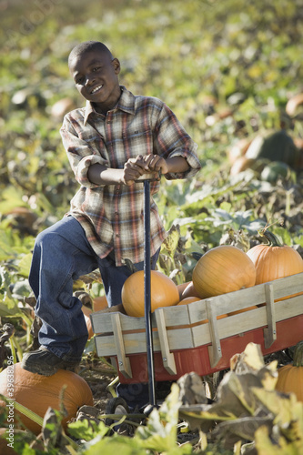 Photo: African boy standing with wagon in pumpkin patch African boy standing with wagon in pumpkin patch