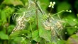 Young caterpillars in the nest