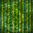 Grunge green background with ancient ornament for st Patrick