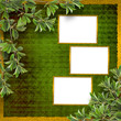 Deciduous tree branch on the background of abstract green wall