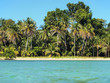 Tropical shoreline
