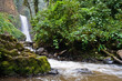 Foto: Jungle waterfall Jungle waterfall