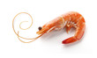 Shrimp
