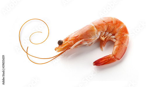 Foto: Shrimp Shrimp