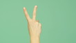 Hand counting Hand counting
