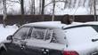Video: The cat on the roof of the car The cat on the roof of the car