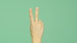 Fingers counting Fingers counting