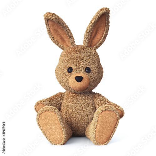 Illustration: Stuffed bunny Stuffed bunny