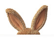 Stuffed bunny hiding behind blank board