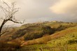 Tuscan Hills