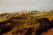 San Gimignano (Tuscany)
