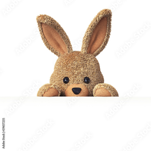 Illustration: Stuffed bunny peeking behind blank board - horizontal Stuffed bunny peeking behind blank board - horizontal