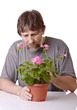 man caring for a potted flower