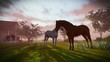 Horses