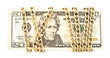 dollars and a chain