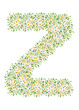Z, daisy flower alphabet isolated on white background