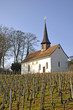 Weinberg mit mittelalterlicher Kapelle Weinberg mit mittelalterlicher Kapelle