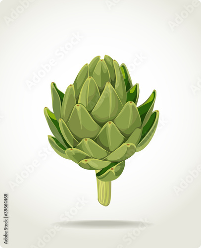 Vector: green fresh useful eco-friendly artichoke green fresh useful eco-friendly artichoke
