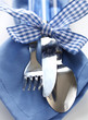 Blue Cutlery Set Blue Cutlery Set