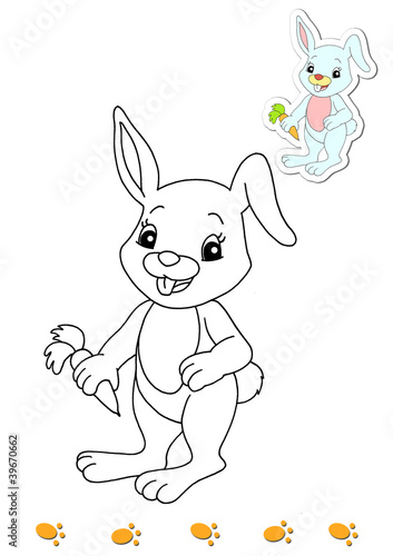 Illustration: animali da colorare, coniglio animali da colorare, coniglio