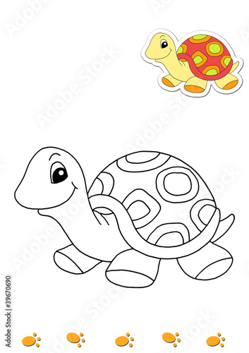 Illustration: animali da colorare, tartaruga animali da colorare, tartaruga