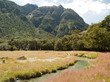 Vallée de Routeburn flats Vallée de Routeburn flats