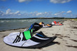 kites on beach