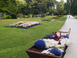 Photo: Parterres de fleurs au jardin de Queenstown Parterres de fleurs au jardin de Queenstown
