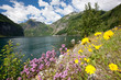 Norway