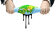 The squeezed out globe