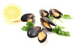 Miesmuscheln mit Petersilie und Zitrone