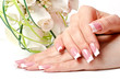 Foto: Hands and flowers Hands and flowers