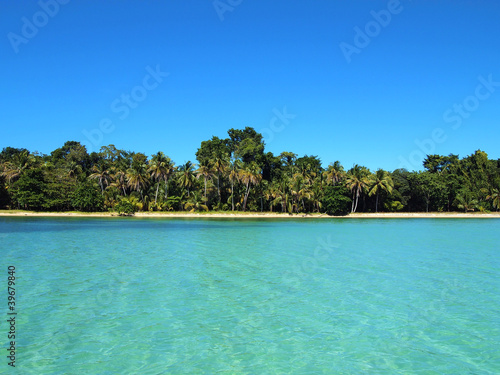 Photo: Tropical beach Tropical beach
