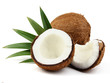 Coconut with leaves