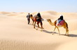 méharée  sahara 3