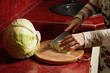 Woman hands cutting cabbage