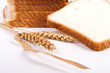 pan de sandwich